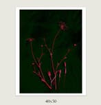 Susana Galbis - Snapshot of time