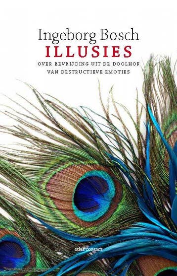 Illusies 9789045029825 Ingeborg Bosch, Verzenden, Gelezen, Ingeborg Bosch