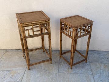 Plantentafel (2) - Bamboe