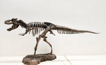 Beeld, Tirannosaurus - 38 cm - Plastic