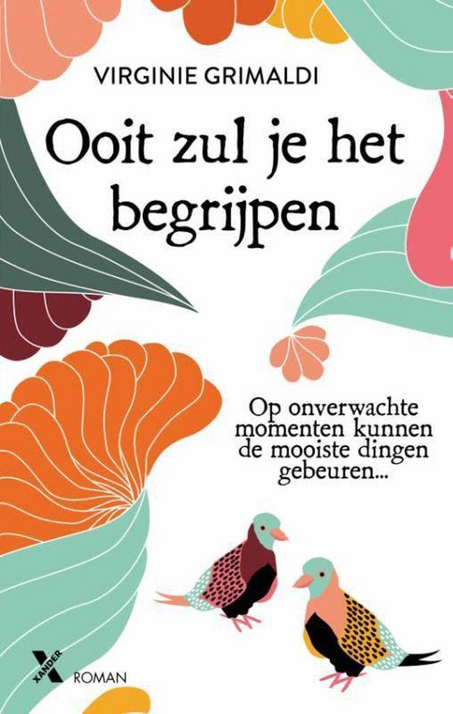 Ooit zul je het begrijpen 9789401610803 Virginie Grimaldi, Boeken, Romans, Gelezen, Verzenden