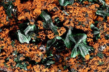 Malachite de première qualité, vert profond en éventail sur
