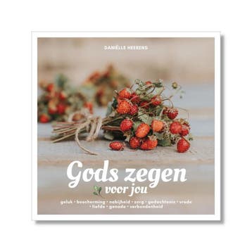 Gods Zegen Voor Jou - Daniëlle Heerens 9789492408877, Verzenden, Zo goed als nieuw, Daniëlle Heerens
