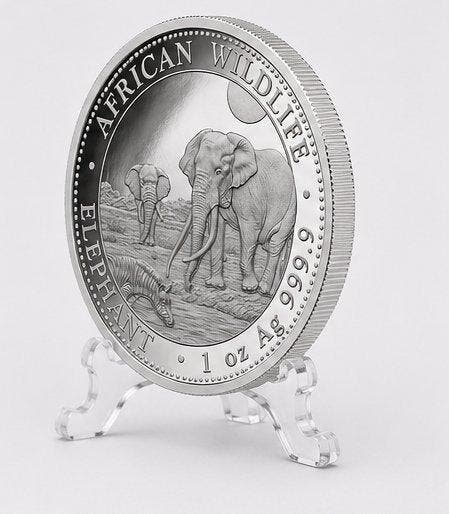 Somalië. 100 Shilling 2026 – African Wildlife Series –, Postzegels en Munten, Munten | Europa | Niet-Euromunten