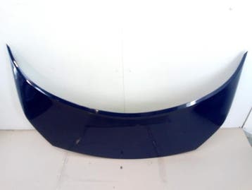 Motorkap Renault Scenic O167960, Nieuw