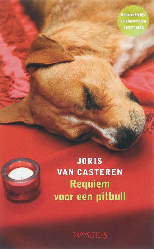 Requiem voor een pitbull 9789044610505 Joris van Casteren, Livres, Romans, Envoi