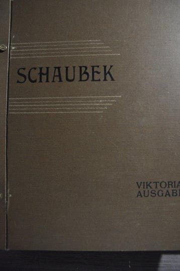 Wereld - Uitzoekpartij in een oud Schaubek abum en, Gestempeld
