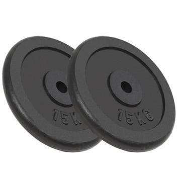 vidaXL Halterschijven 2 st 2x15 kg gietijzer, Verzenden