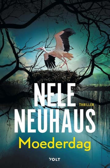 Moederdag / Bodenstein & Kirchoff / 9 9789021417004, Boeken, Verzenden, Gelezen, Nele Neuhaus