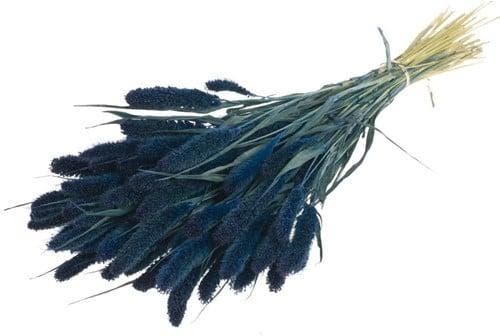 Setaria Trosgierst Siergras Dark Blue, Maison & Meubles, Accessoires pour la Maison | Plantes & Fleurs artificielles