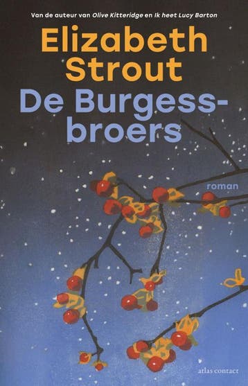 De Burgess-broers / Lucy Barton / 6 9789025478032, Boeken, Verzenden, Zo goed als nieuw, Elizabeth Strout