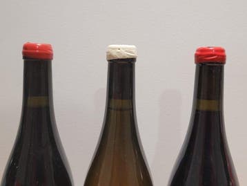 2024 Maison Pinot Noar, white wine Pinot Blanc , Pinot