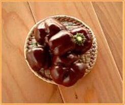 Baby Bell Chocolate mini paprika, Nieuw