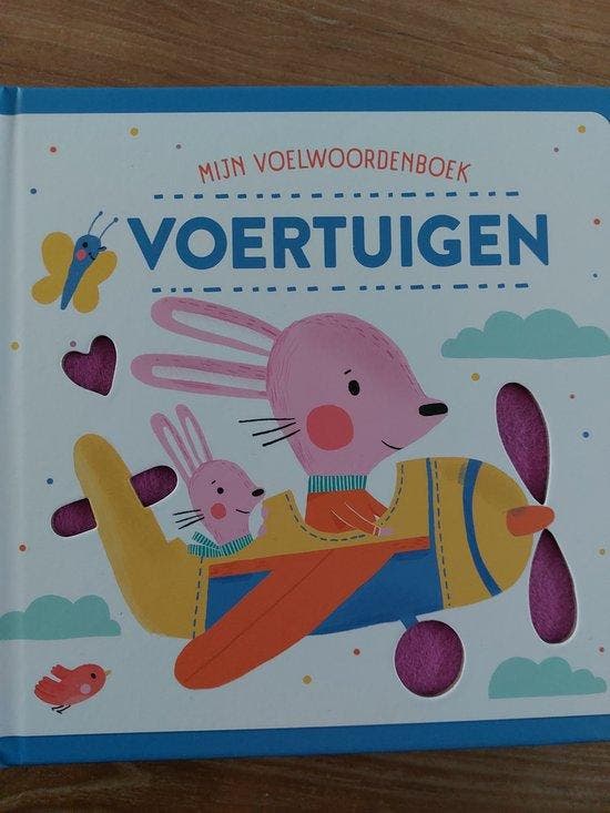 Mijn voelwoordenboek 9789464545579, Livres, Livres pour enfants | 0 an et plus, Envoi