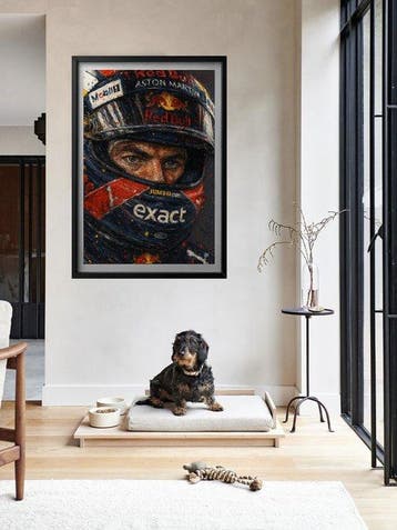 Max Verstappen Red bull racing - Formula One - Max