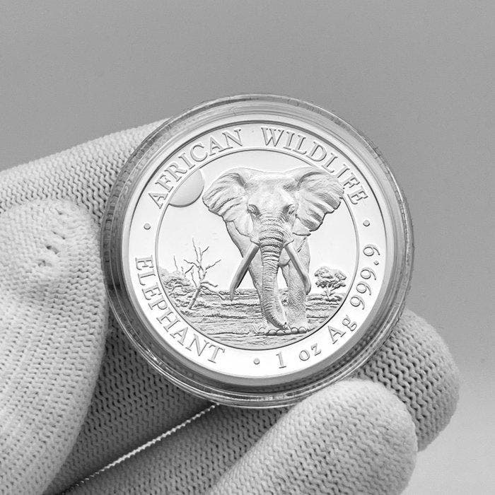Somalië. 100 Shilling 2025 – Elephant – High Relief – 1 oz, Postzegels en Munten, Munten | Europa | Niet-Euromunten