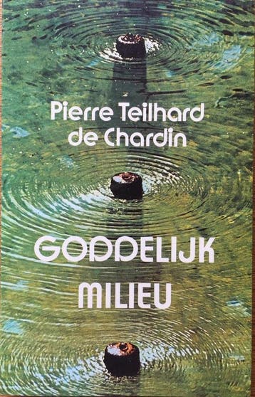 Goddelyke milieu 9789063251161 Teilhard Chardin, Verzenden, Teilhard Chardin