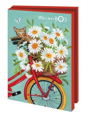 Kaartenmapje met env, klein: Special delivery, Miriam Bos, Ophalen of Verzenden