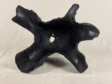 I TRUCIOLI DEL BARRI - Bol - Teck - TEK - SHOU SUGI BAN