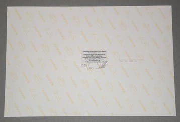 F. Seltier - The Doors Jim Morrison 1968, Fine Art Print