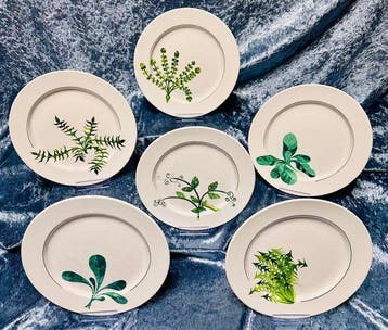 Villeroy & Boch - Assiette (6) - Porcelaine - Villeroy &, Antiquités & Art