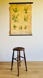 Tabouret - Frêne, Orme, Antiek en Kunst