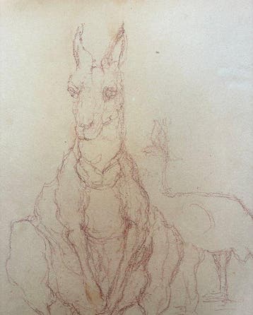 Marie-Louise Simard (1886-1963) - Croquis de Kangourou (sans