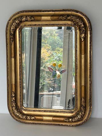 Spiegel - Hout, Glas