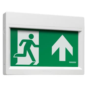Famostar Go ! Luminaire De Secours - 391862, Bricolage & Construction, Verzenden