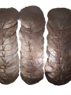 Capiz Camar schelpen Metallic Champagne 500 gram, Hobby en Vrije tijd, Nieuw