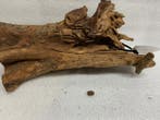 Am 681 Fine Sinkingwood 31x15x13cm aquarium decoratie hout, Verzenden, Nieuw, Plant(en), Steen of Hout