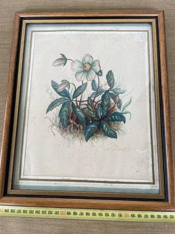 Collectie merkartikelen