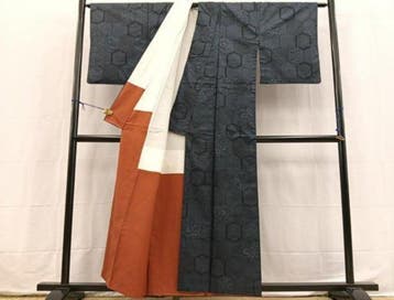 Oshima Tsumugi Zijden Kimono, Kikko-patroon - Zijde -, Antiek en Kunst
