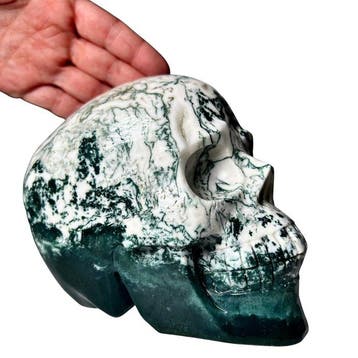 Crâne en Agate mousse - XXL Sculpture - Hauteur : 120 mm -