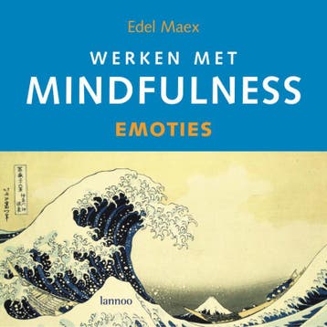 Werken met mindfulness 9789020976786 E. Maex, Boeken, Verzenden, Zo goed als nieuw, E. Maex
