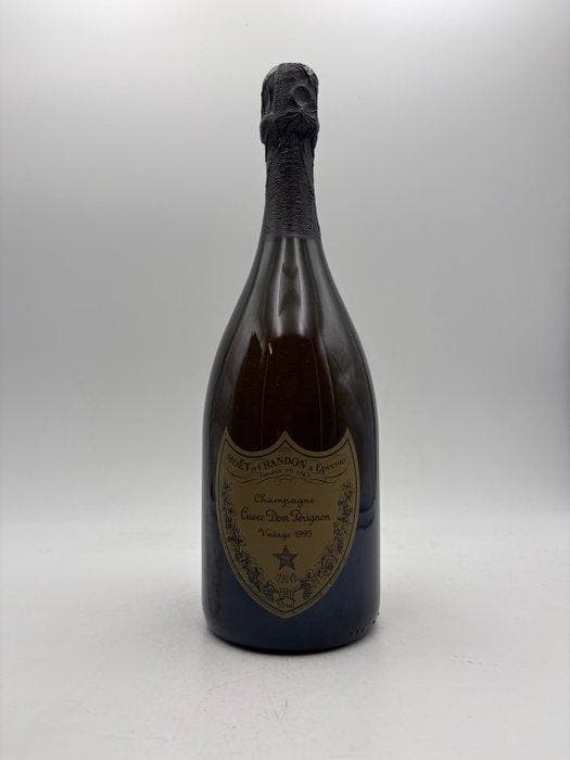 1993 Dom Pérignon - Champagne Brut - 1 Bouteille (0,75 l), Verzamelen, Wijnen