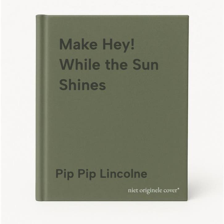 Make Hey! While the Sun Shines 9781742701318, Livres, Langue | Anglais, Envoi