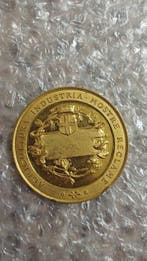 . Italië Lotto 11 medaglie - inclusa Medaglia 1917 (Zonder