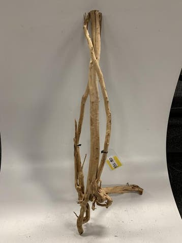 Boutique Stump Selected BS120 - 100x34x30cm, Ophalen of Verzenden, Plant(en), Steen of Hout