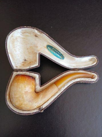 Pipe - Exposition daquariums