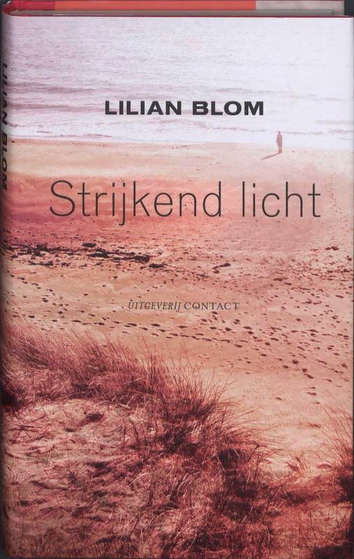Strijkend licht 9789025434274 Lilian Blom, Boeken, Romans, Zo goed als nieuw, Verzenden