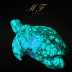 Schildpad van Congolese malachiet, van de hoogste kwaliteit