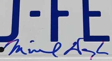 Falling Down - Michael Douglas - Signed License Plate -