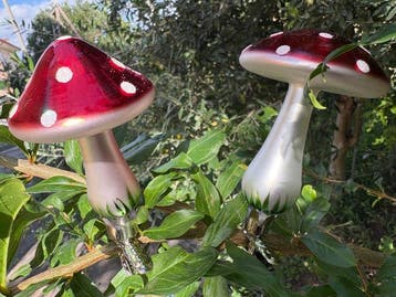 Krebs Lauscha: 6 bospaddestoelen, rood met witte stippen -