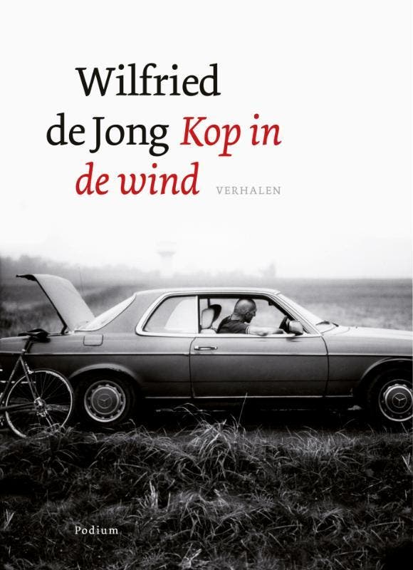 Kop in de wind 9789057595202 Wilfried de Jong, Boeken, Romans, Gelezen, Verzenden
