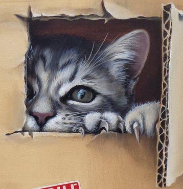 Gala - Cat in a box painting ~Window~