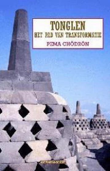 Tonglen 9789069635682 Pema Chodron, Verzenden, Pema Chodron