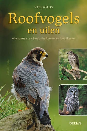 Roofvogels en uilen / Veldgids 9789044752540 Walther Thiede, Verzenden, Zo goed als nieuw, Walther Thiede