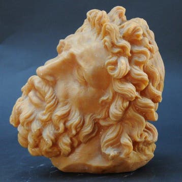 sculptuur, TESTA DDI LAOCONTE - 25 cm - Was