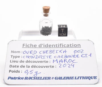The Grail ! Koolstofrijk CI 1 Oued Chebeika 002 uit Marokko,, Verzamelen